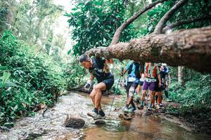 BIB: 
                            <button type="button" onclick="openModal(25373861)" class="btn btn-primary btn-sm float-right btn-popup" data-toggle="modal" data-target=".modal-high-quality">
                        <i class="fas fa-shopping-cart"></i> Add to Cart
                    </button>
                                            <button type="button" onclick="isThisMe(25373861, true)" class="btn btn-success btn-sm float-right btn-popup btn-isme hidden" data-toggle="tooltip" data-placement="bottom" title="นี่คือรูปของคุณใช่ไหม คลิกที่นี่เพื่อเอาเข้าอัลบั้ม">
                        <i class="fas fa-plus"></i> Add to album
                    </button>
                    <button type="button" onclick="isThisMe(25373861, false)" class="btn btn-warning btn-sm float-right btn-popup btn-isnotme hidden">
                        <i class="fas fa-ban"></i> Remove from album
                    </button>